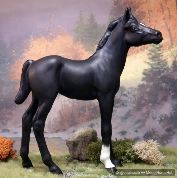 Tau Ceti — entry in OF Sport Breed Foals