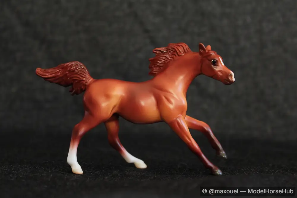 Shenzi — entry in Arabian, Part-Arabian & Gaited