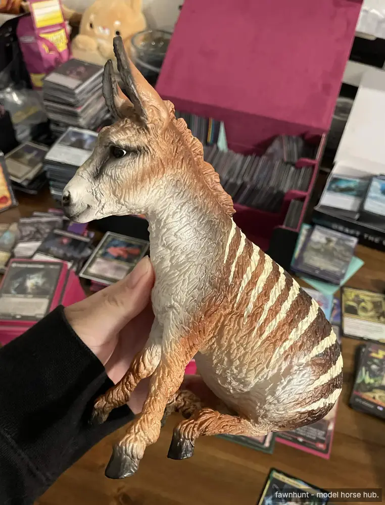Dryandra