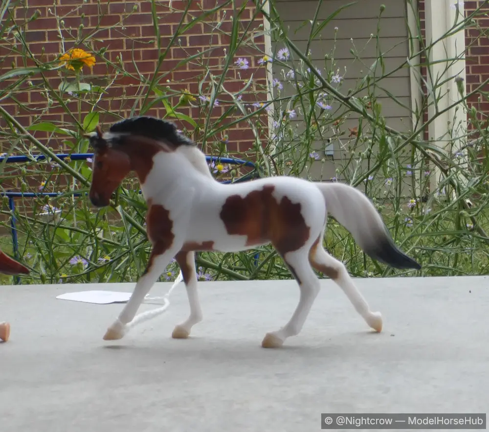 Warmblood - Parade of Breeds III