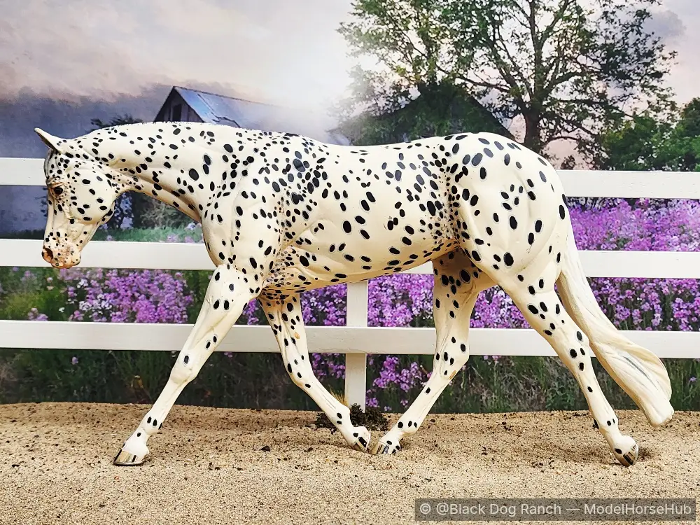 My Spotty Valentine