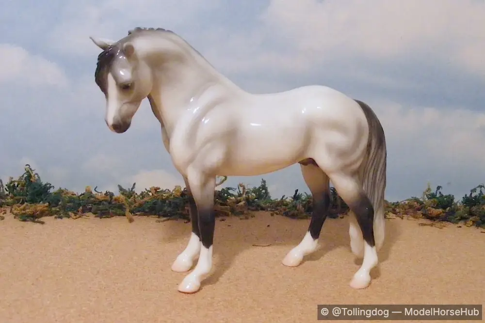 Polar Ice — entry in European Pony