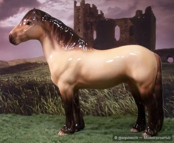 Duskwynd — entry in OF British Pony