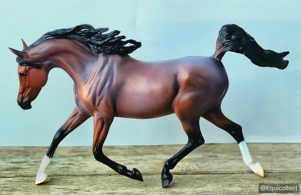 EQC Versace — entry in OF Arabian