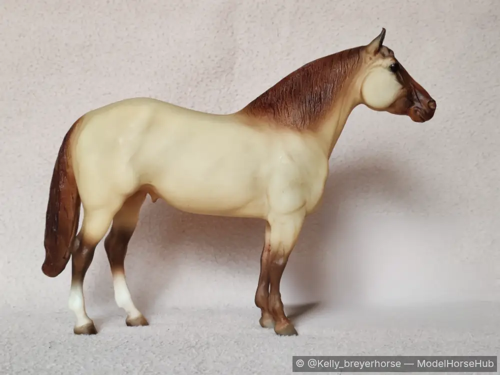 Champagne — entry in OF Quarter Horse