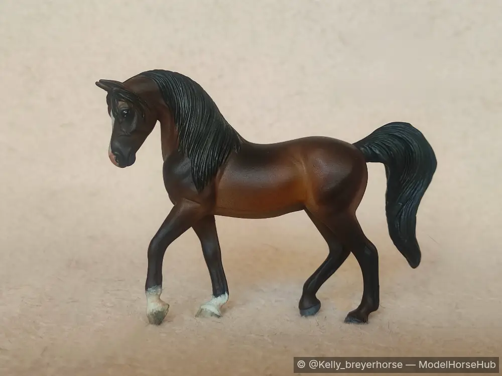 Sinaï — entry in CM/AR Arabian