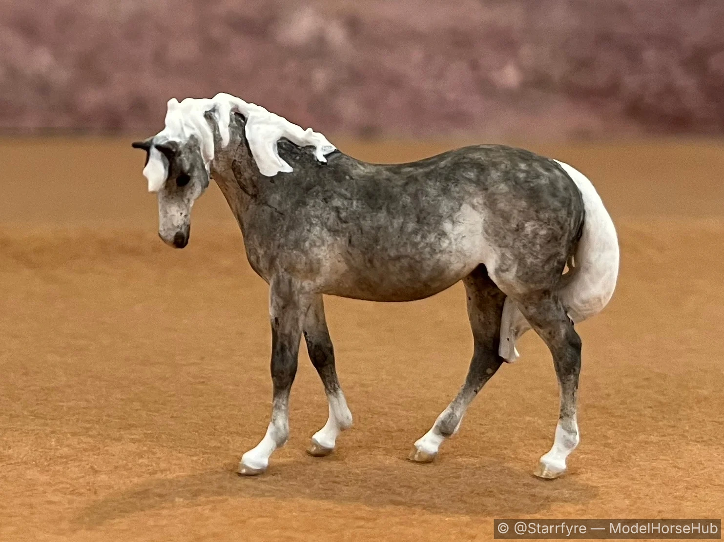 Pixie Dust or Bust — entry in CM/AR Thoroughbred & Standardbred