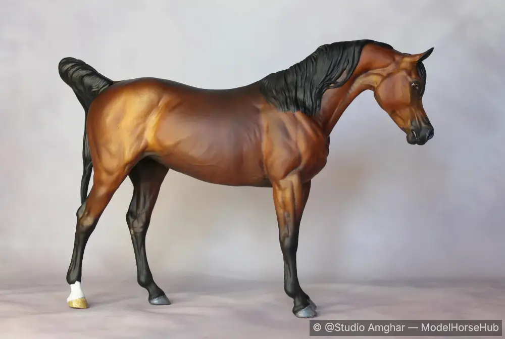 Niryovka d'Amghar — entry in Arabian, Part-Arabian & Gaited