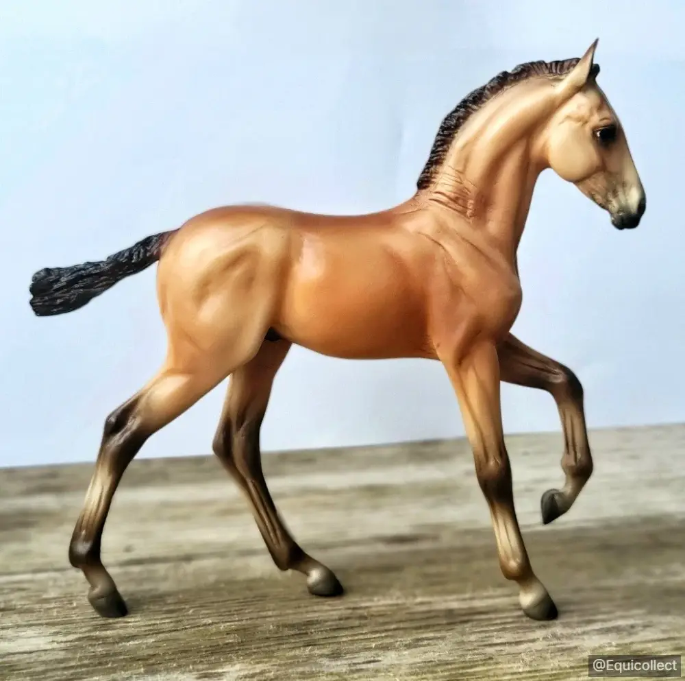 EQC Bellamy — entry in OF Light Breed Foals