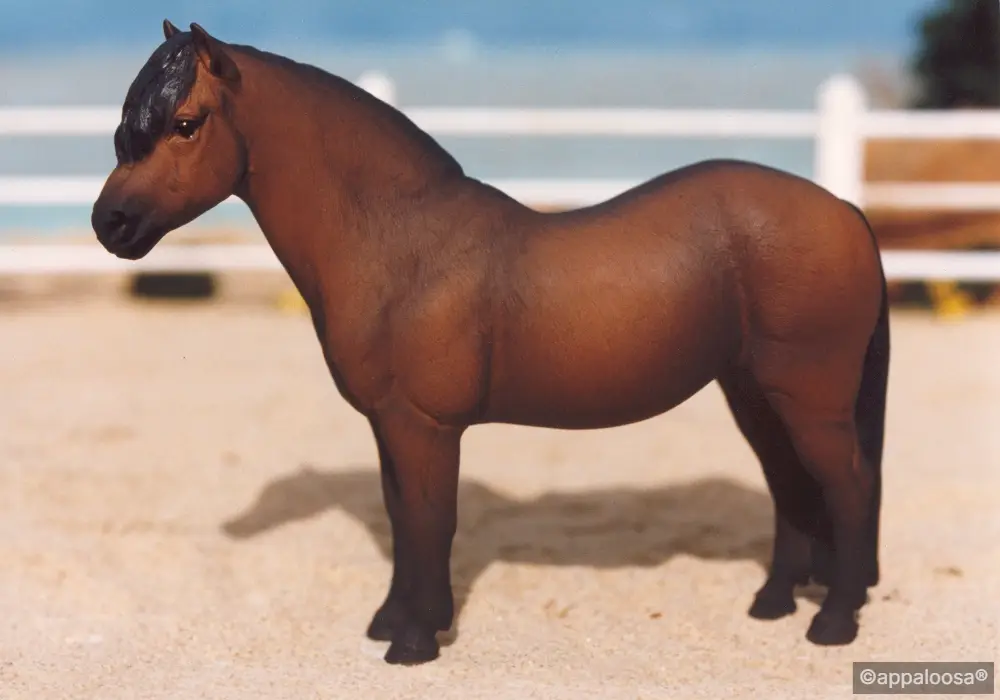 Ladybird Victoria — entry in European Pony
