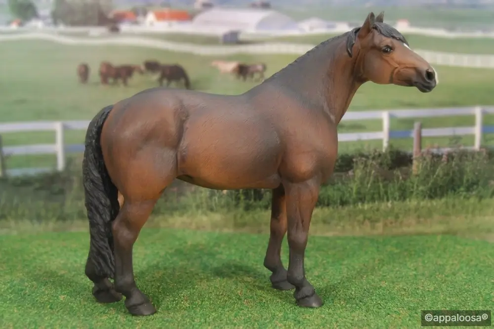 NORTH LIGHT PERCHERON MARE