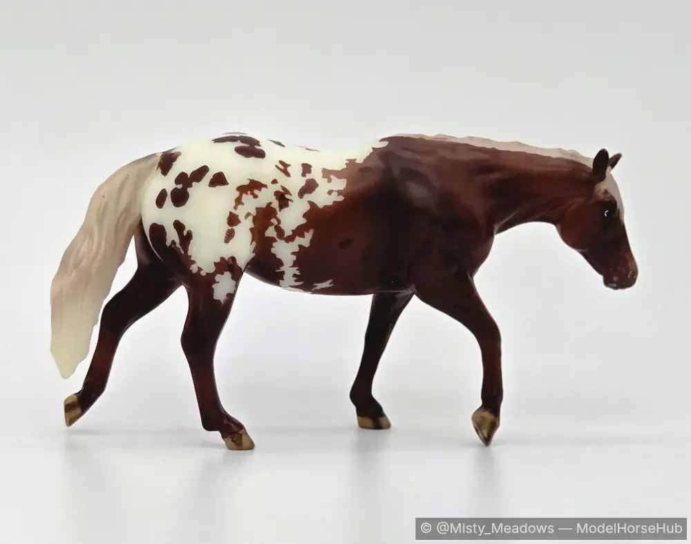 Nutmeg — entry in OF Appaloosa