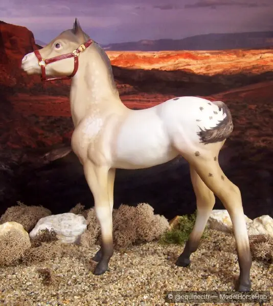 Ceolo — entry in OF Stock Breed Foals