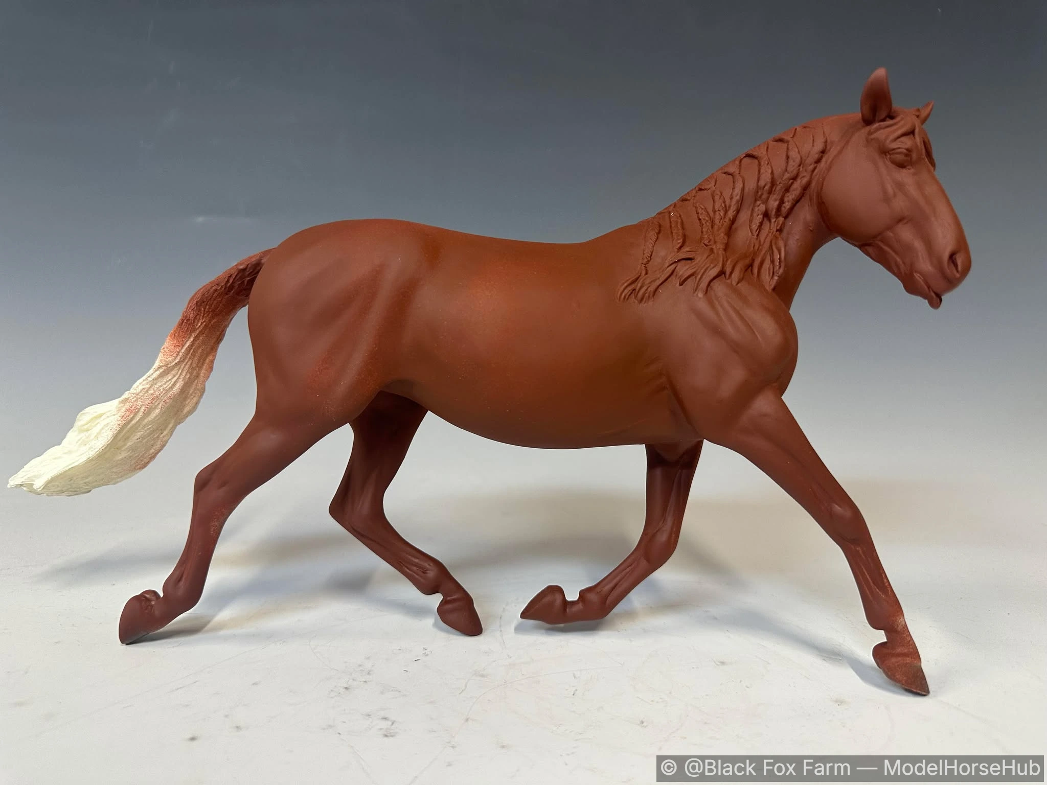 Andalusian Mare