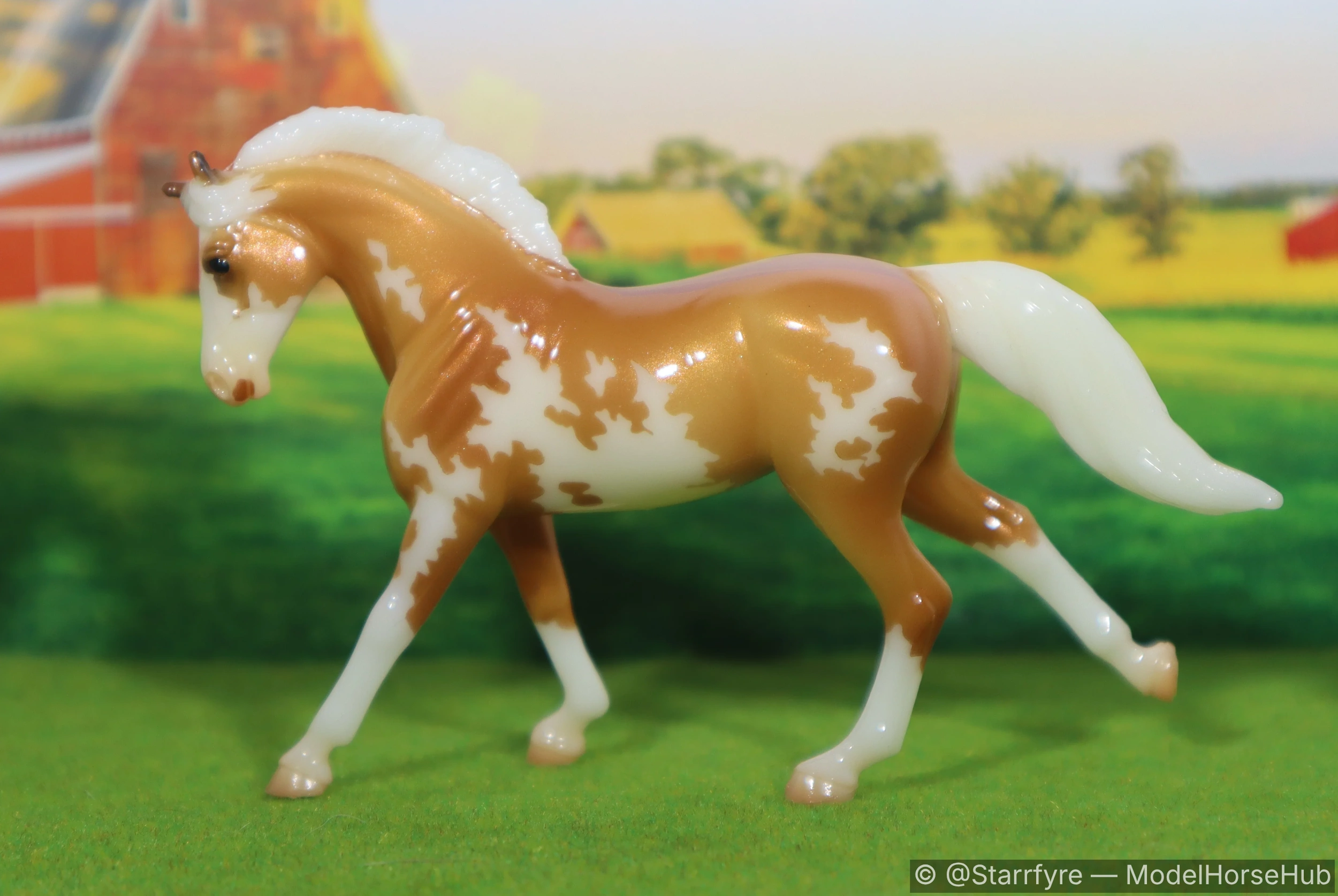 California Stardust — entry in OF Warmblood