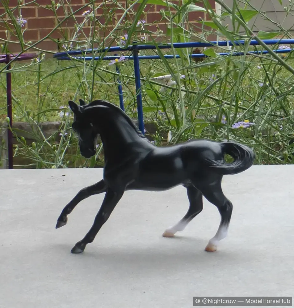 Warmblood - Competing at the Games