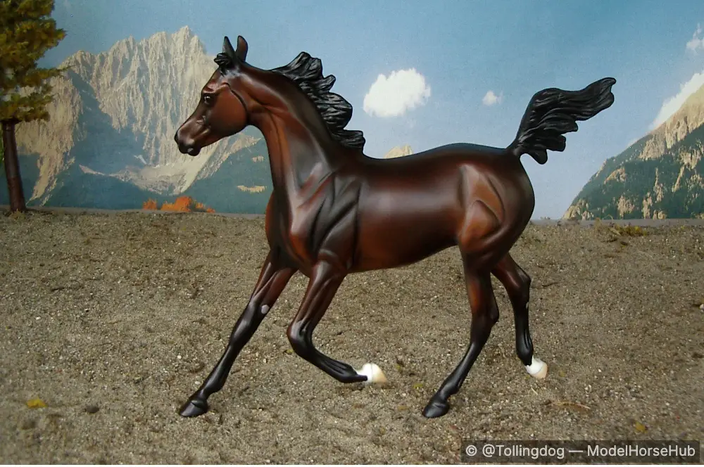Dafina — entry in Foals