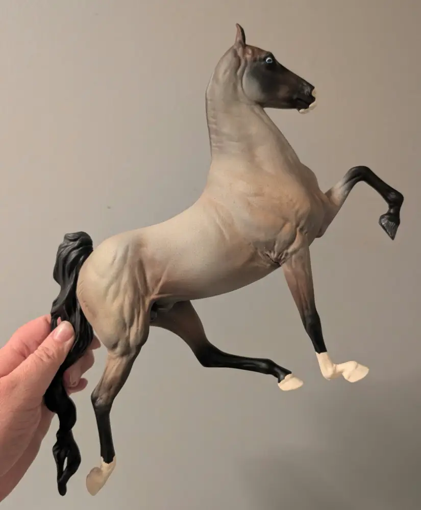 Saddlebred, finished by this studio