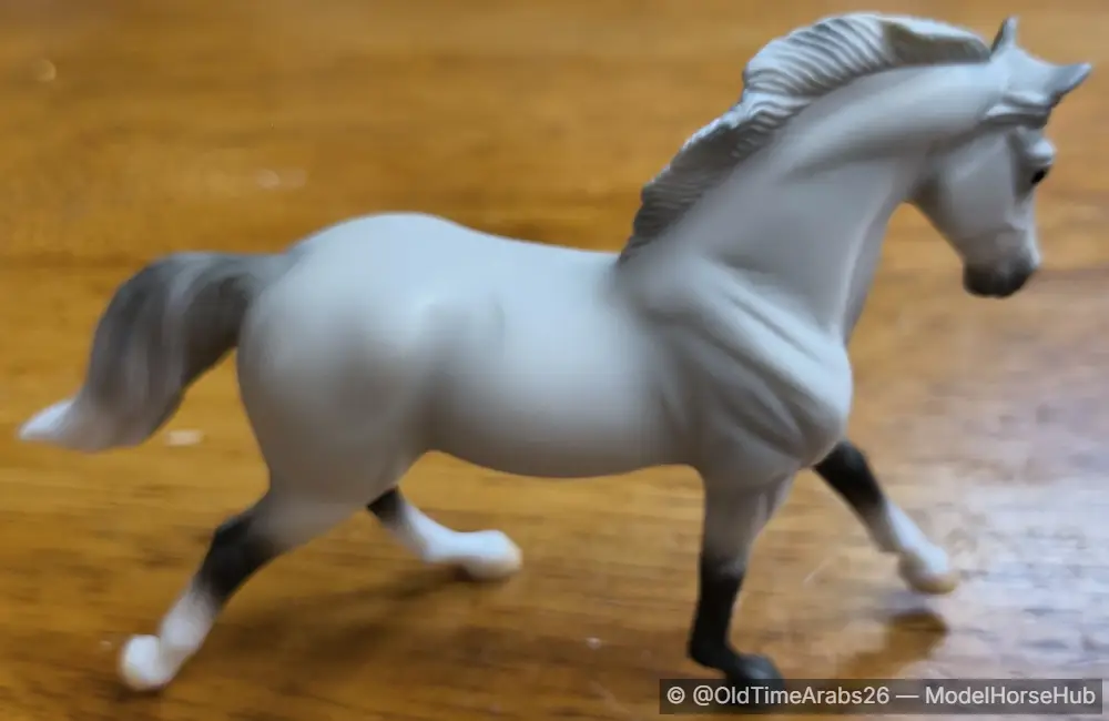 Warmblood 10803