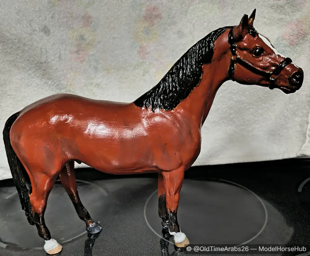 Thoroughbred - custom