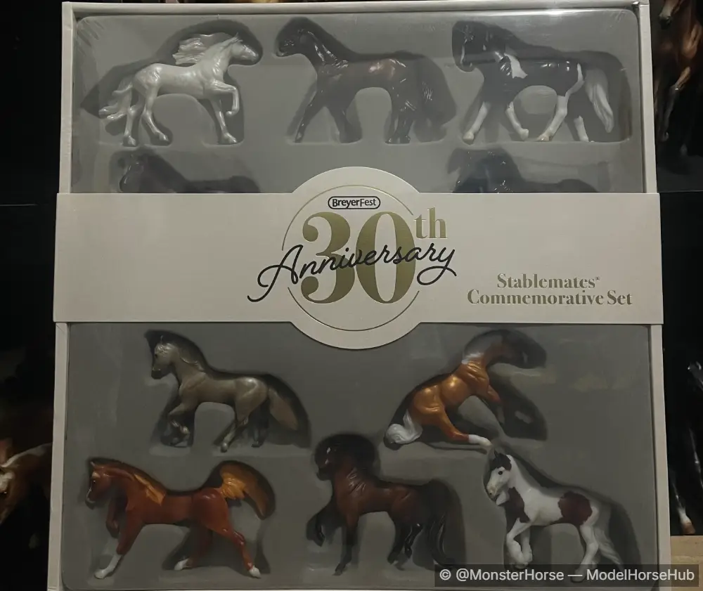 30th Anniversary Commemorative Set - Gooitzen fan Teakesyl