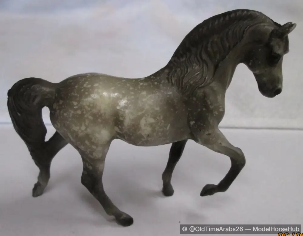 Morgan Stallion 5010
