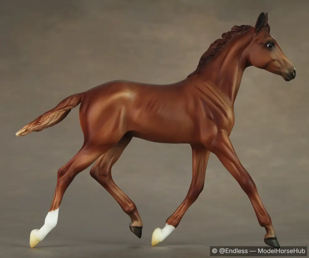 END Carlito — entry in OF Sport Breed Foals
