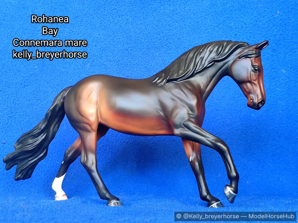Rohanea — entry in European Pony