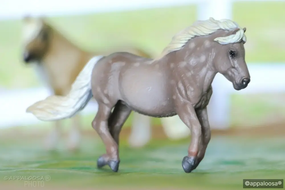 Merrylegs — entry in European Pony