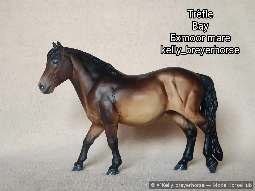 Trèfle — entry in European Pony