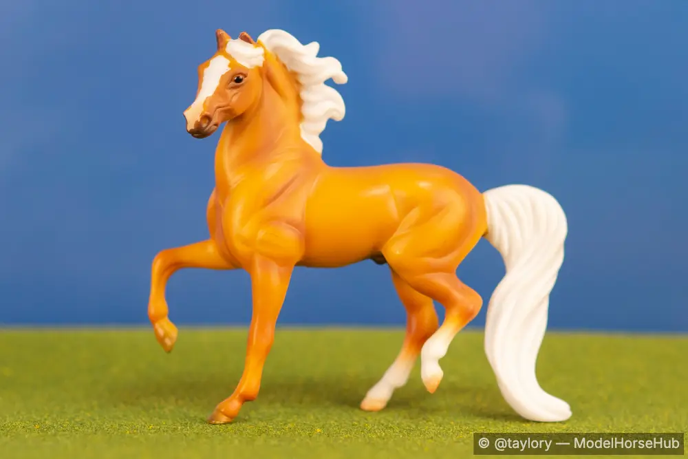 Pumpkin Latte — entry in Arabian, Part-Arabian & Gaited