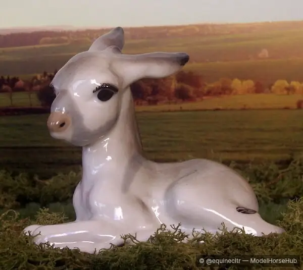 Balklutha — entry in OF Longear & Exotic Breed Foals