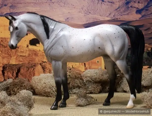 Mariposa Ragdoll