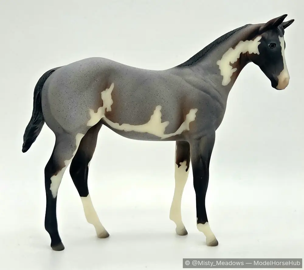 Meadows — entry in OF Stock Breed Foals