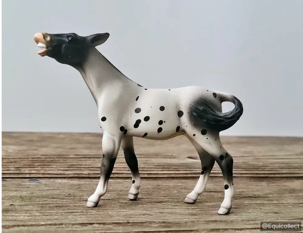 EQC Dot Com — entry in Longears & Exotics (Mules, Donkeys, Zebras)