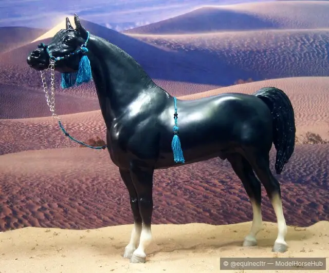 Fadayeen — entry in OF Arabian
