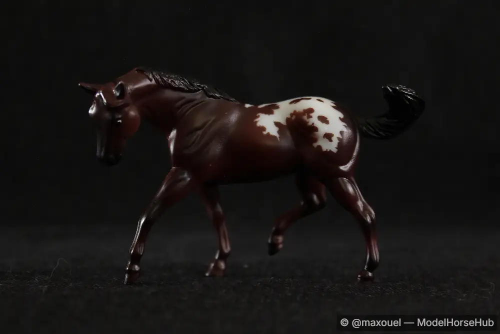 Rascal — entry in Quarter Horse, Paint & Appaloosa