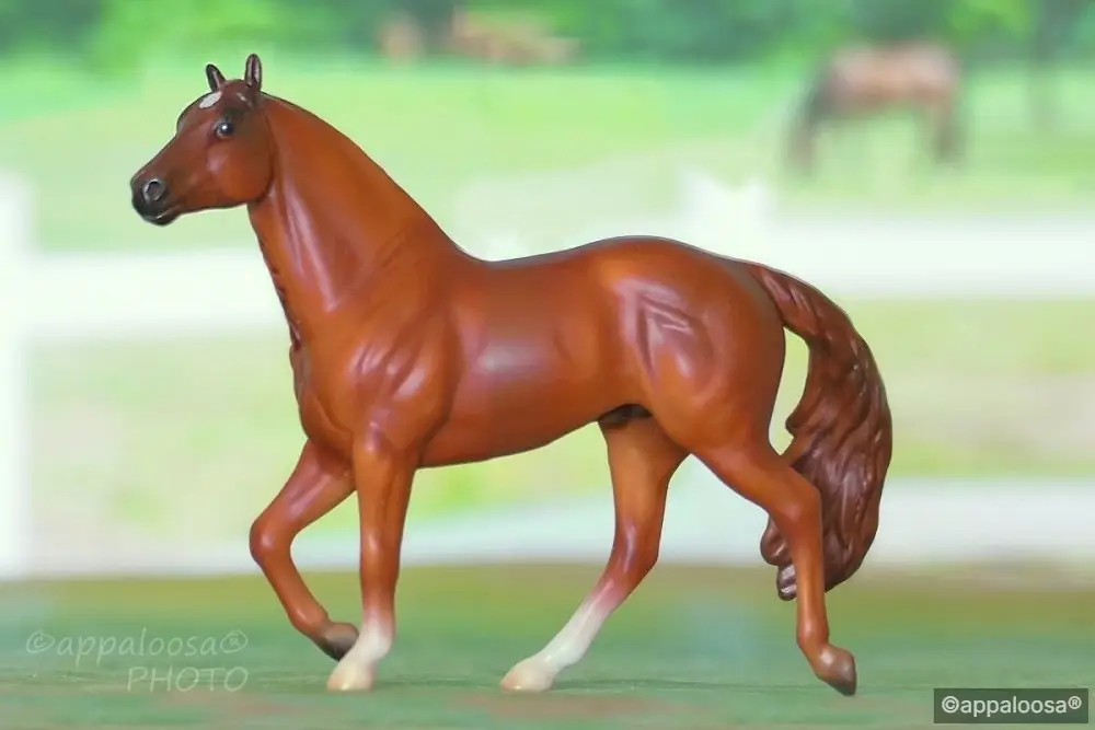 Chics Coffee Crisp — entry in Quarter Horse