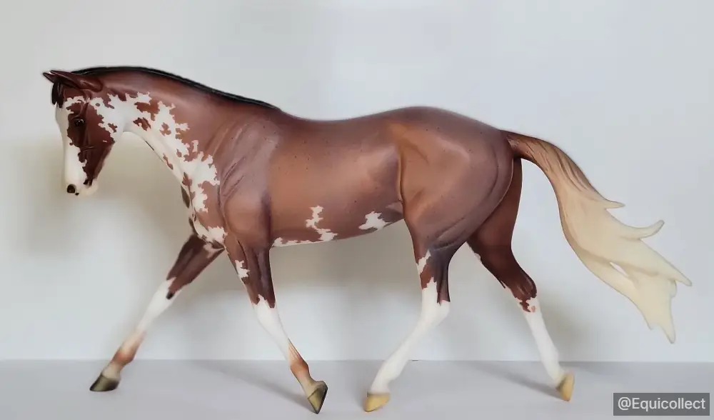 EQC Pink Leading Lady — entry in Thoroughbred, Warmblood & Sport