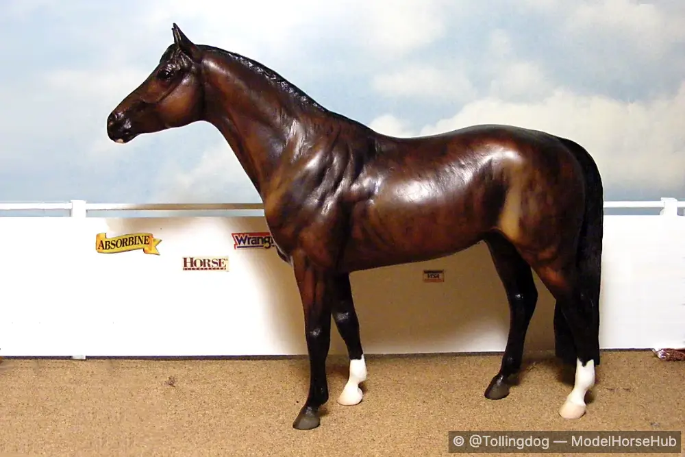 The Dark Prince — entry in Warmblood