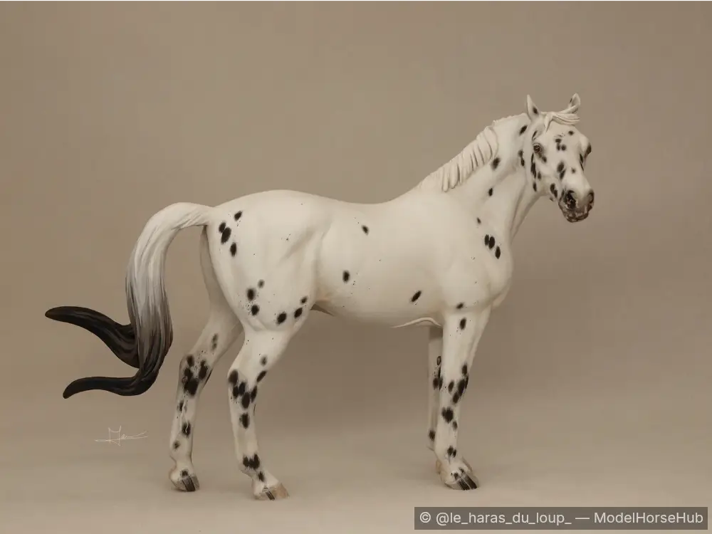 Silverking II du Loup