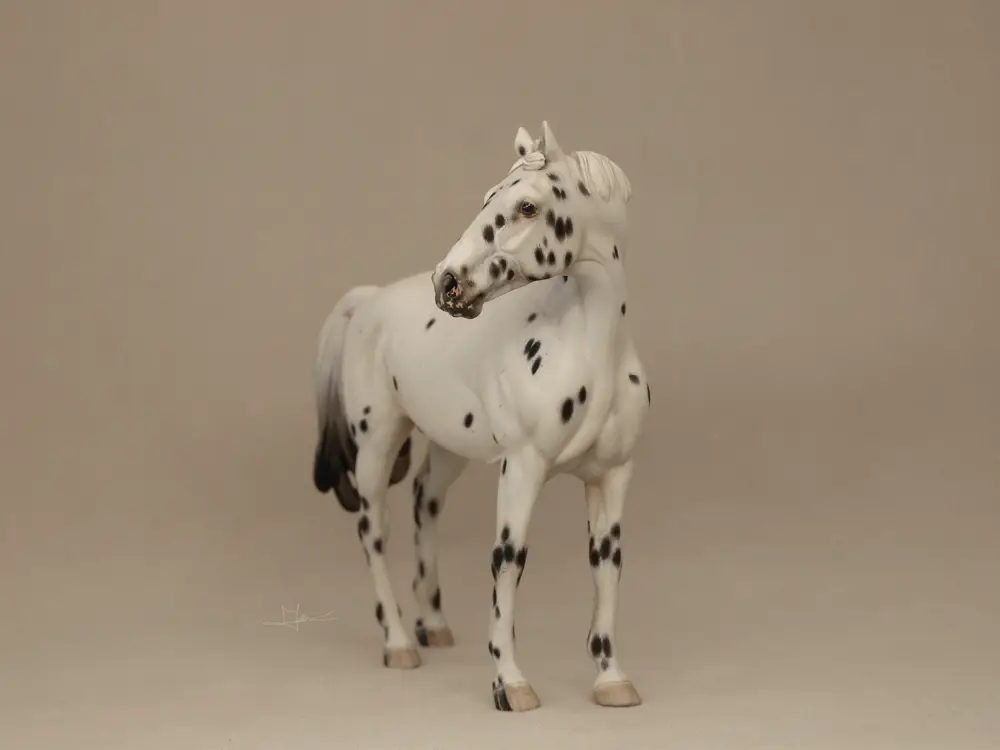 Silverking II du Loup, finished by this studio