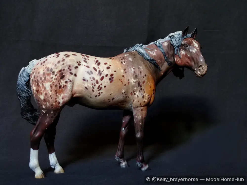 Enjoy the Silence — entry in CM/AR Appaloosa