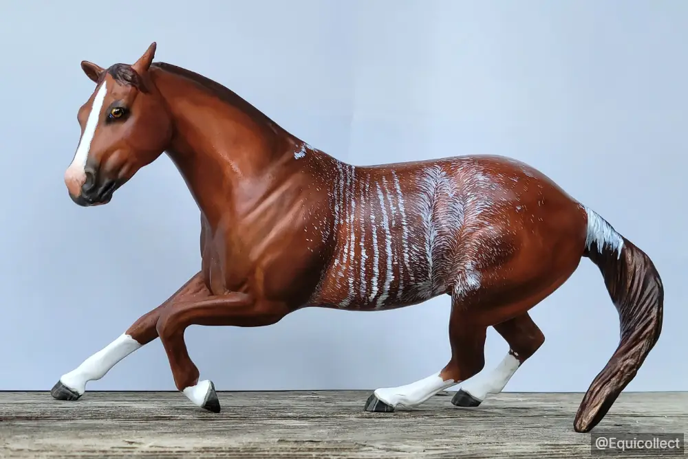 EQC Copper Coded Ember — entry in CM/AR Quarter Horse