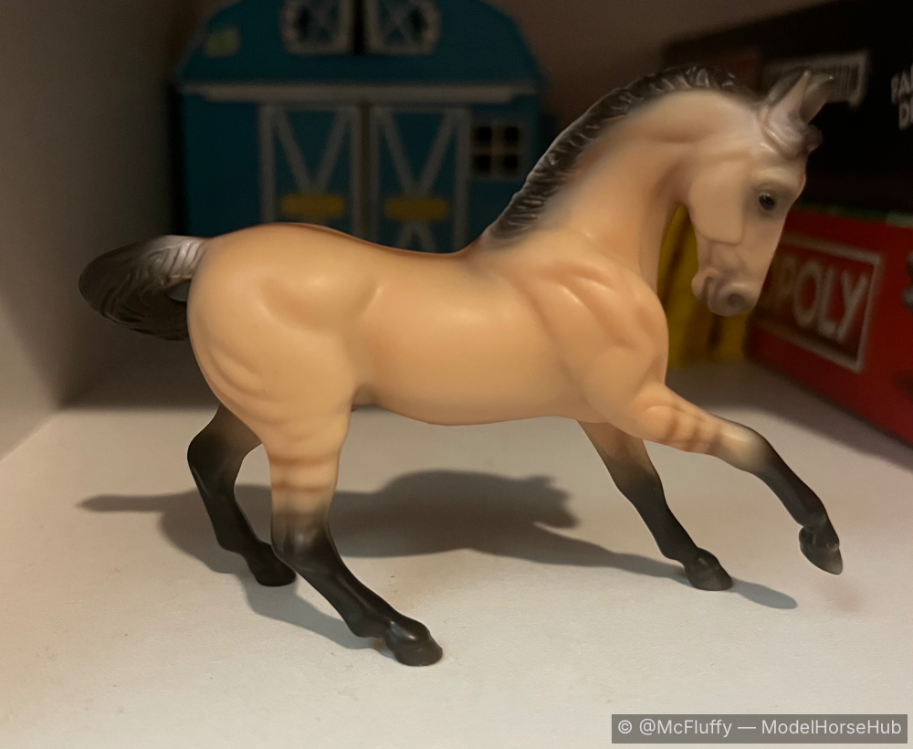 Warmblood