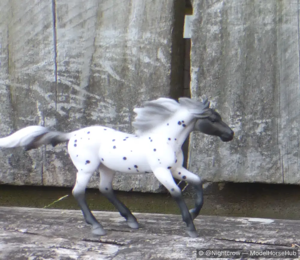 Appaloosa - Mystery Horse Surprise Series 8