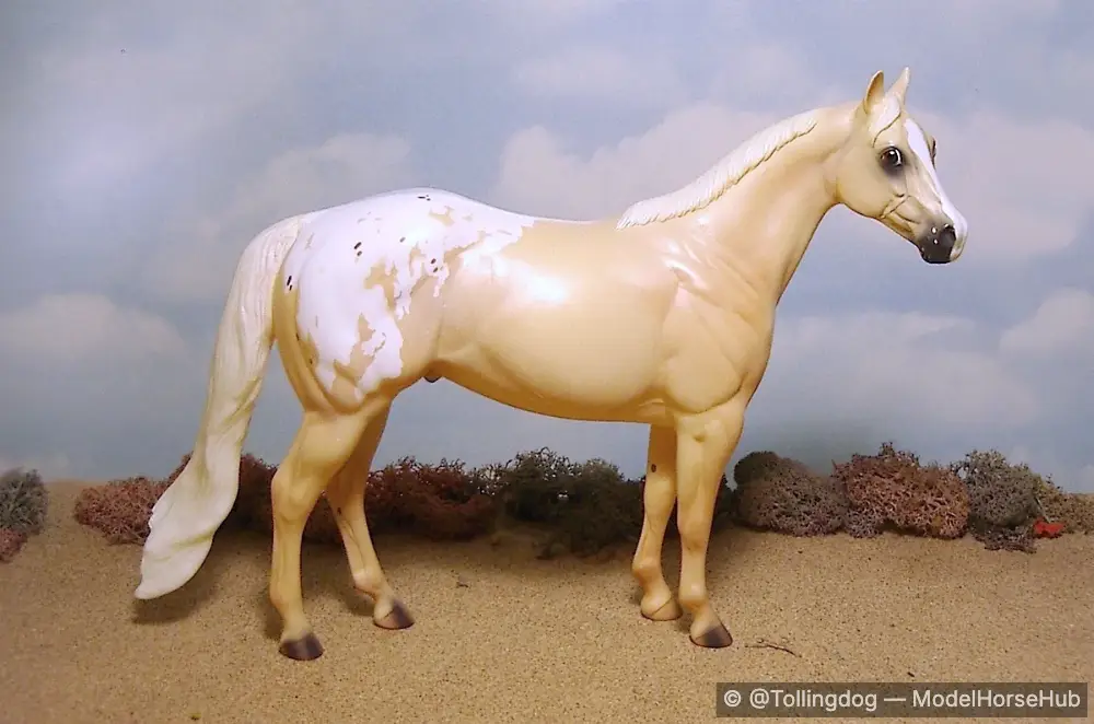 Noah's Lark — entry in Appaloosa