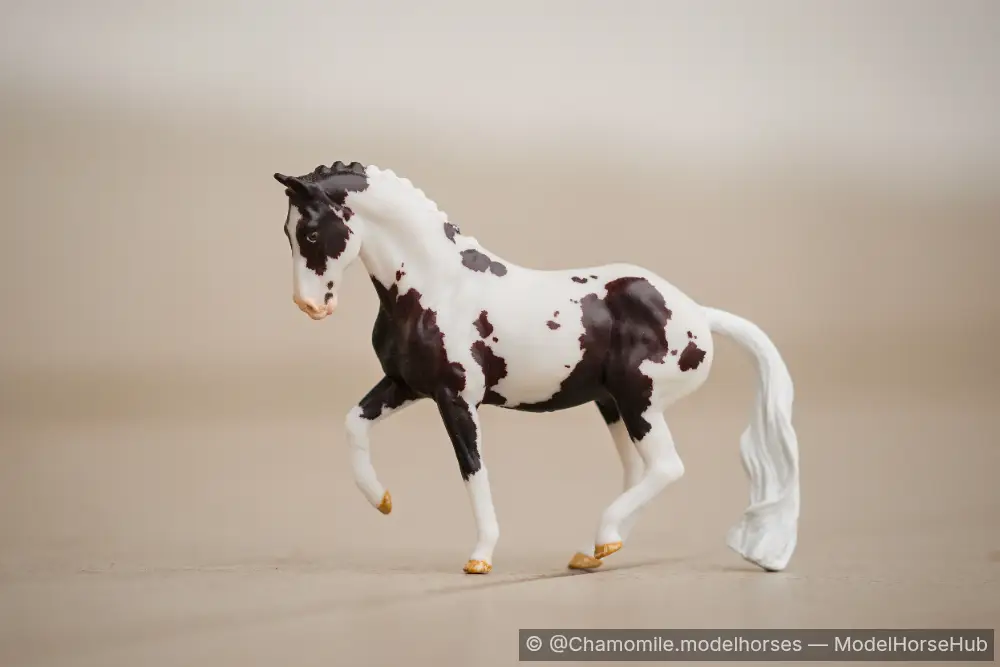 Cosmo — entry in Warmblood
