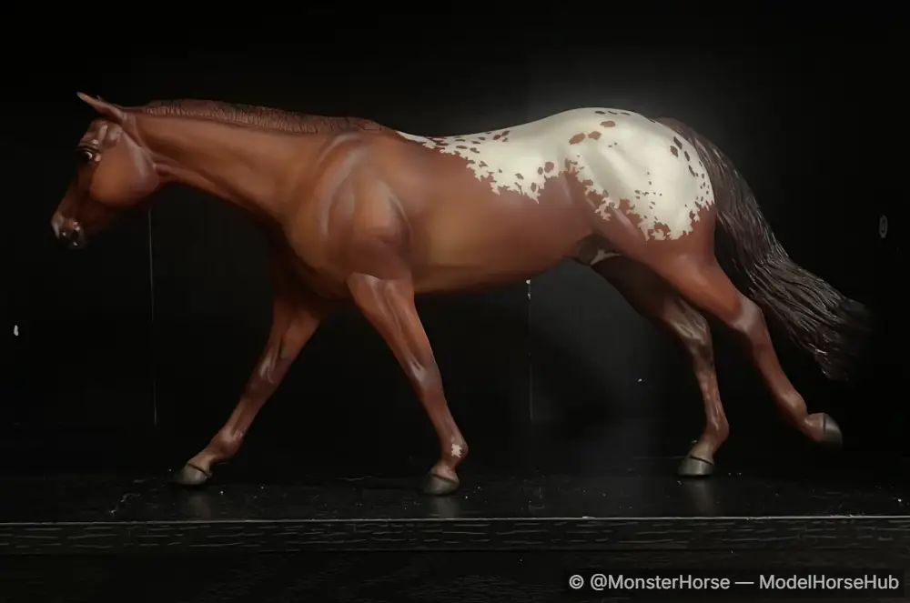 Chocolatey - Champion Appaloosa
