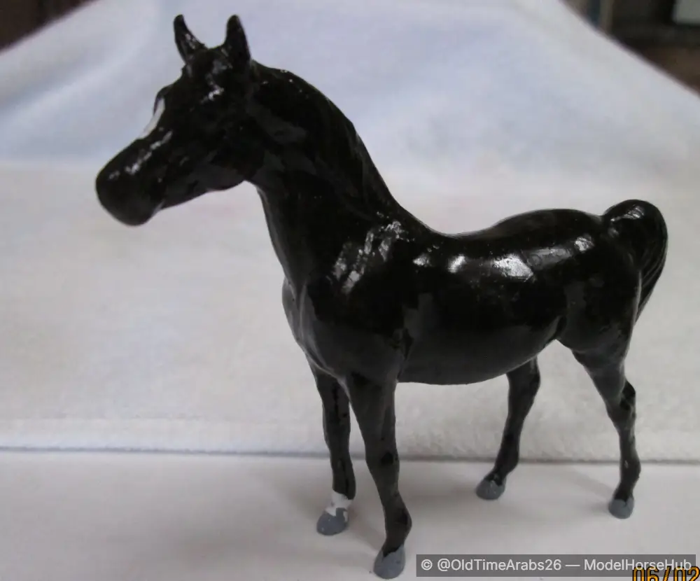 Arabian Stallion custom
